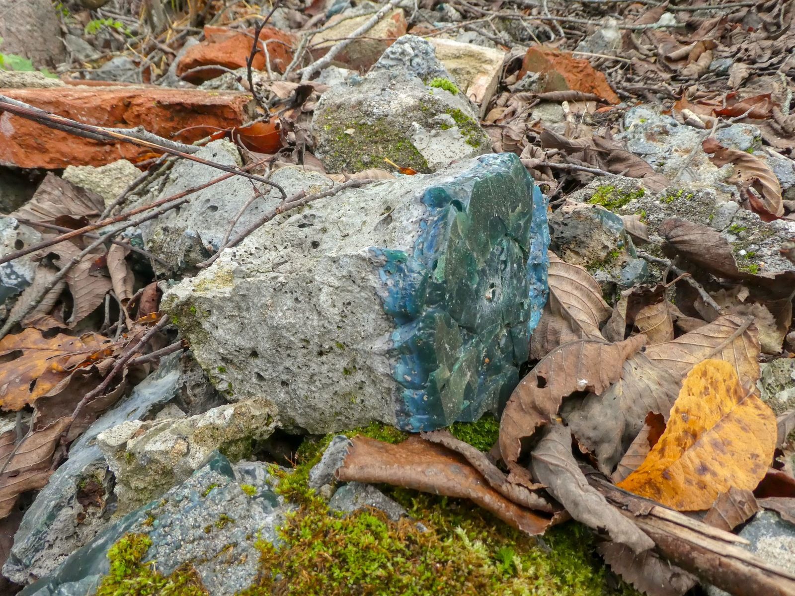 P1160451.jpg