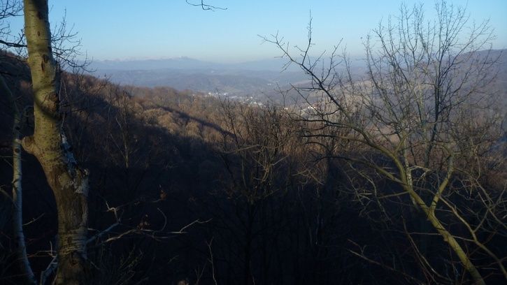 P1160634800x450.jpg