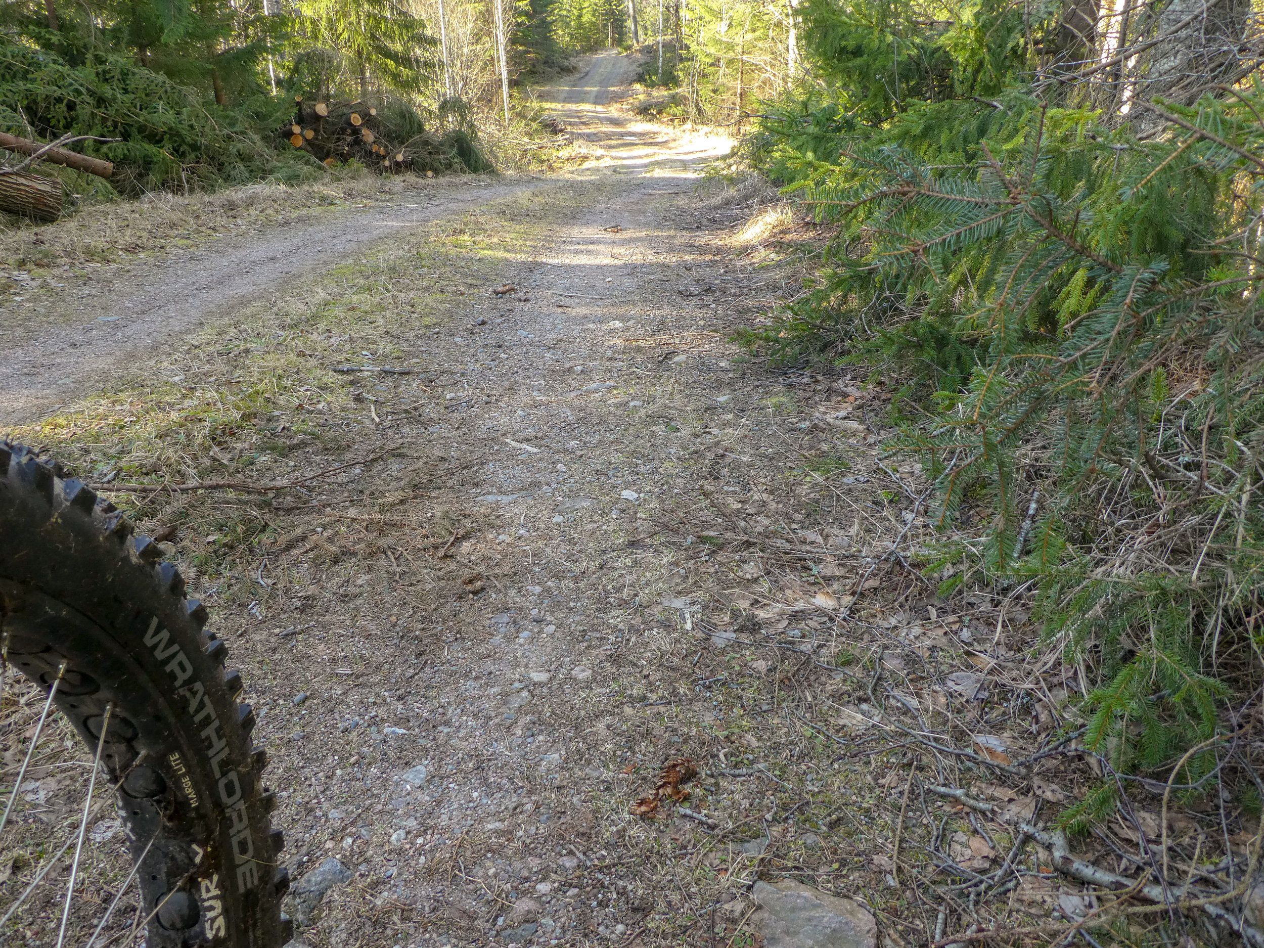 P1160753t.jpg