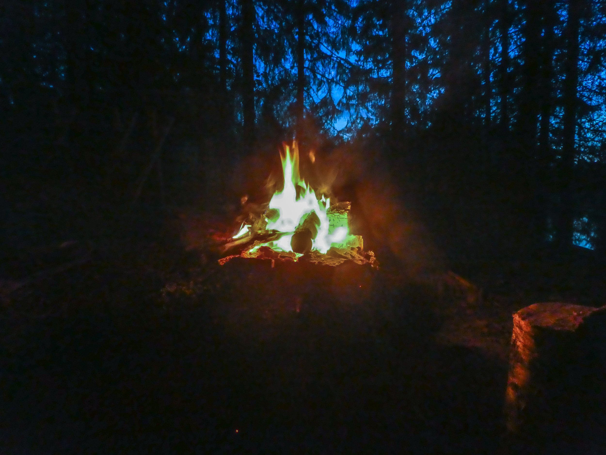 P1170151.jpg