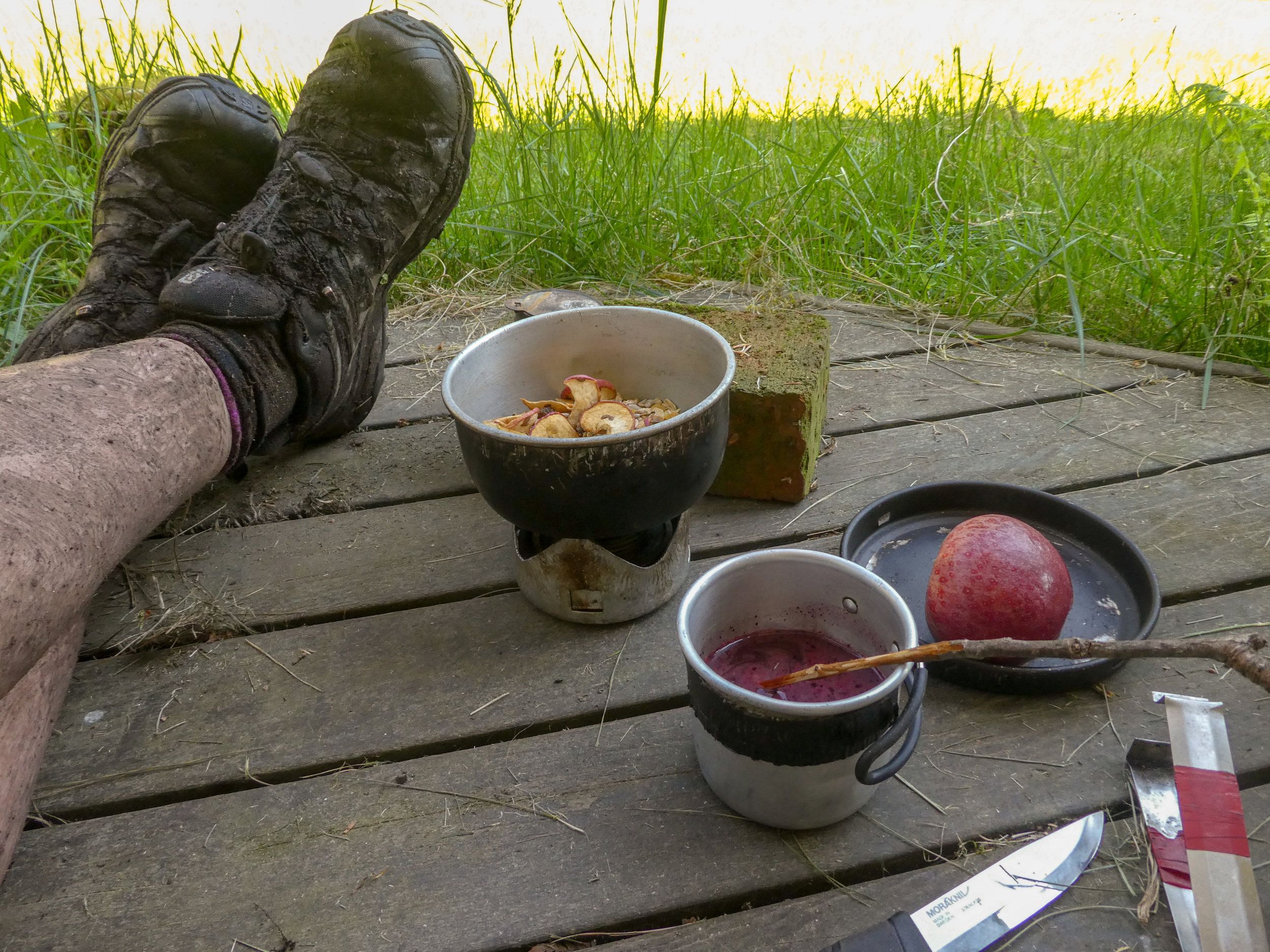 P1170220.jpg