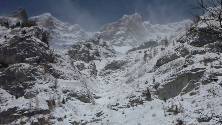 P1170720800x450.jpg