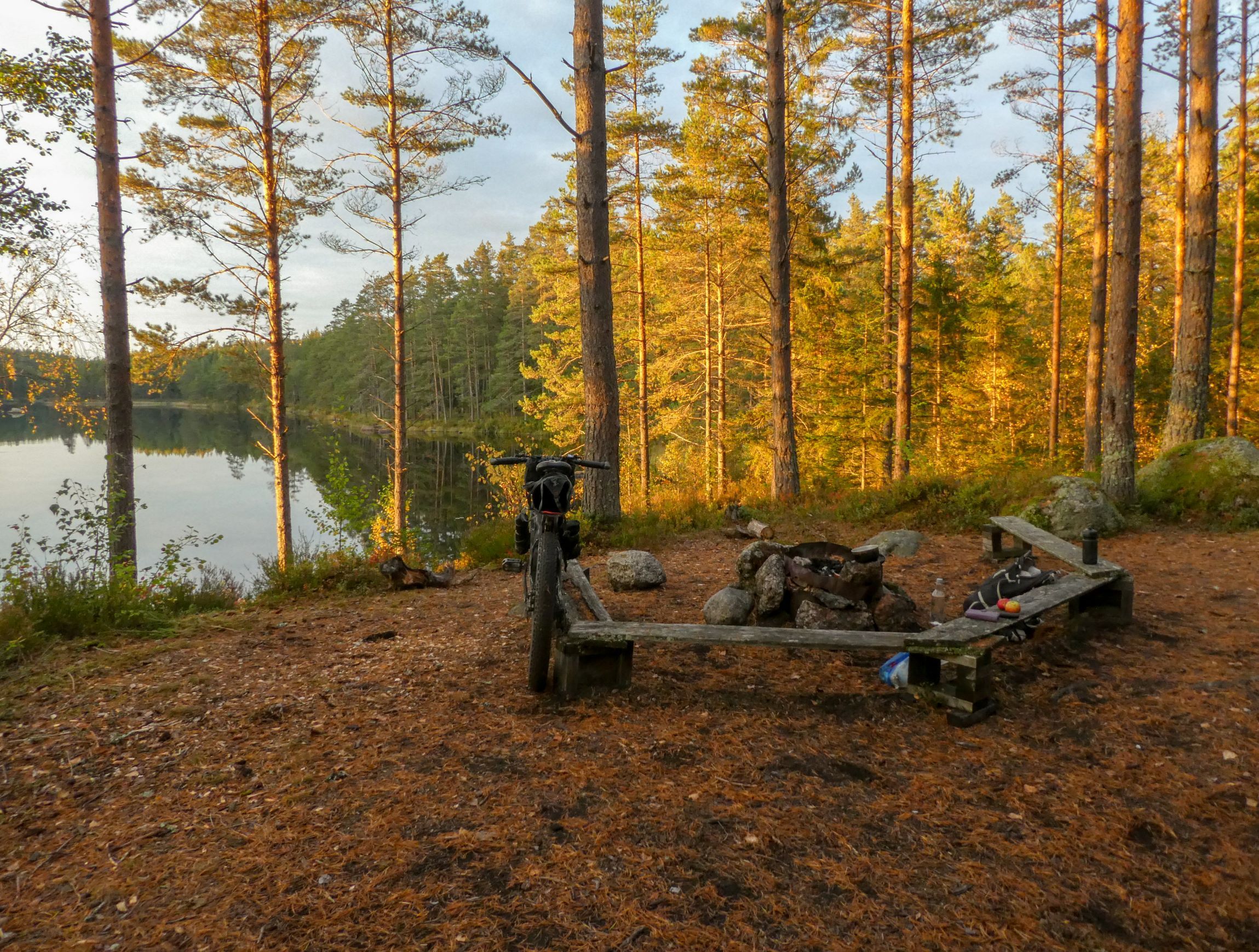 P1170819.jpg