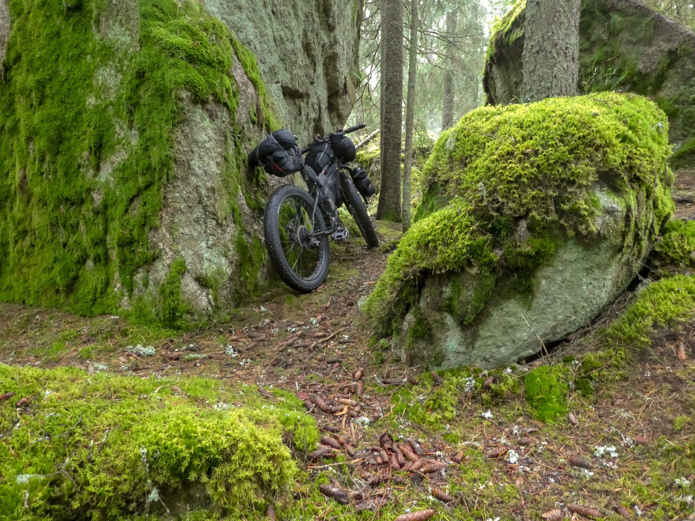 P1170835e.jpg