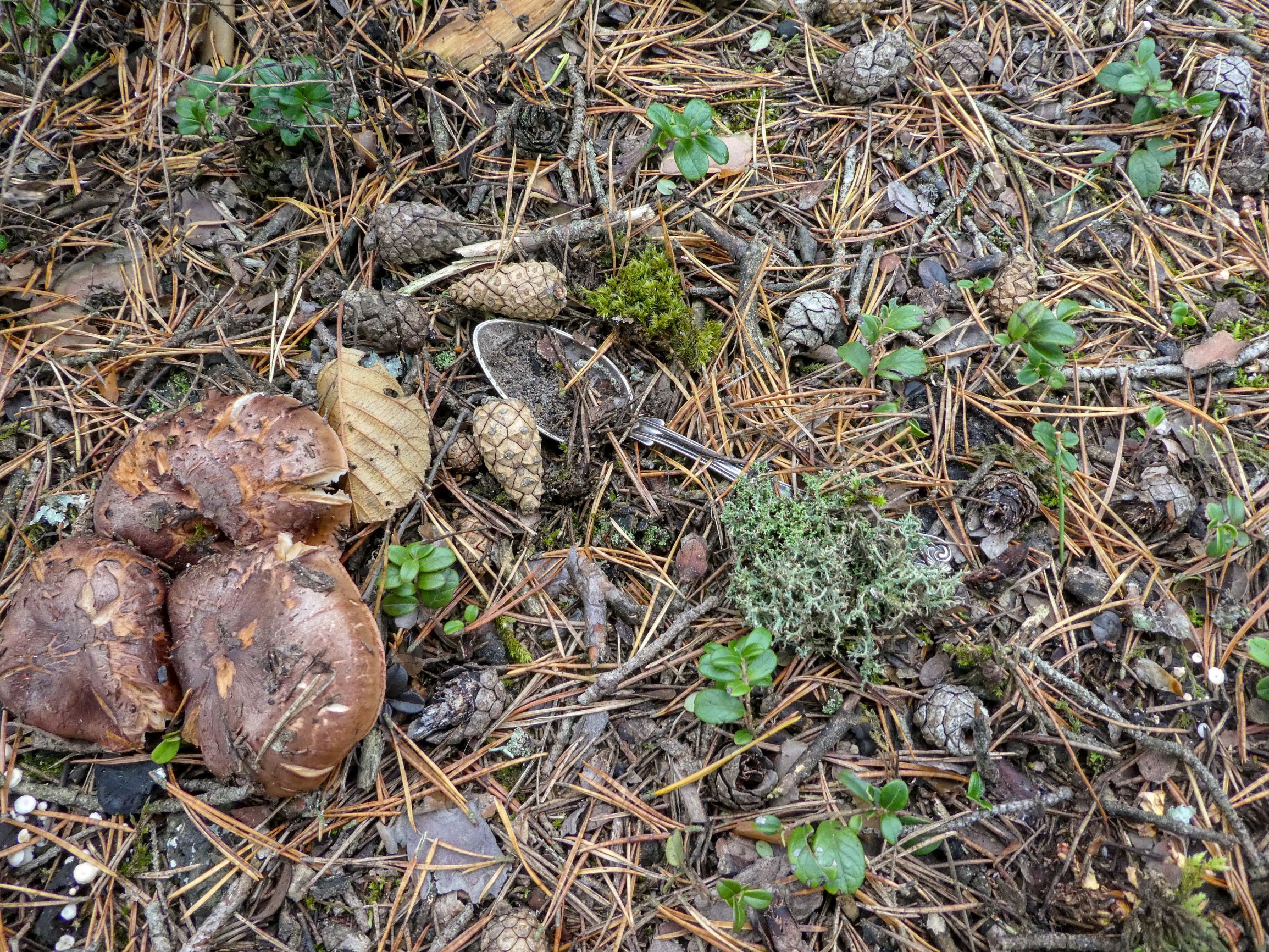 P1170844.jpg