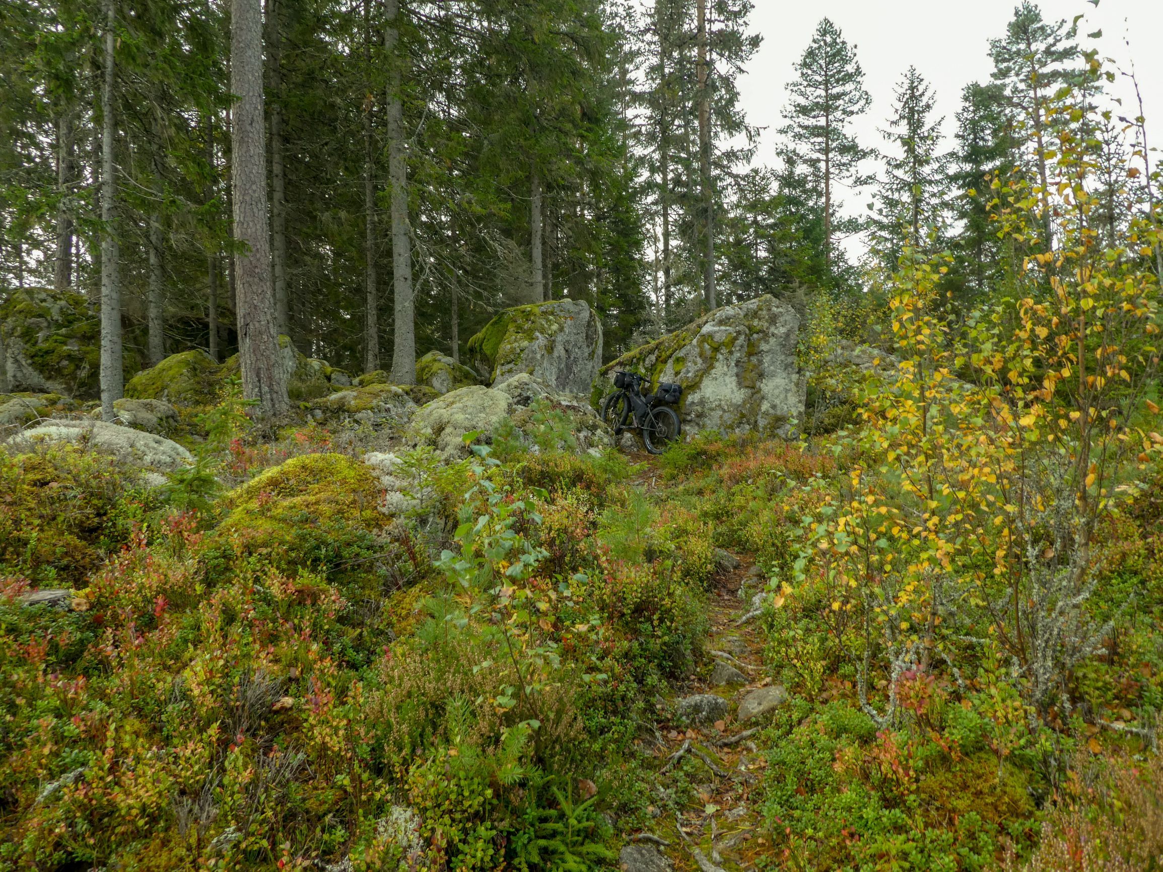 P1170856e.jpg