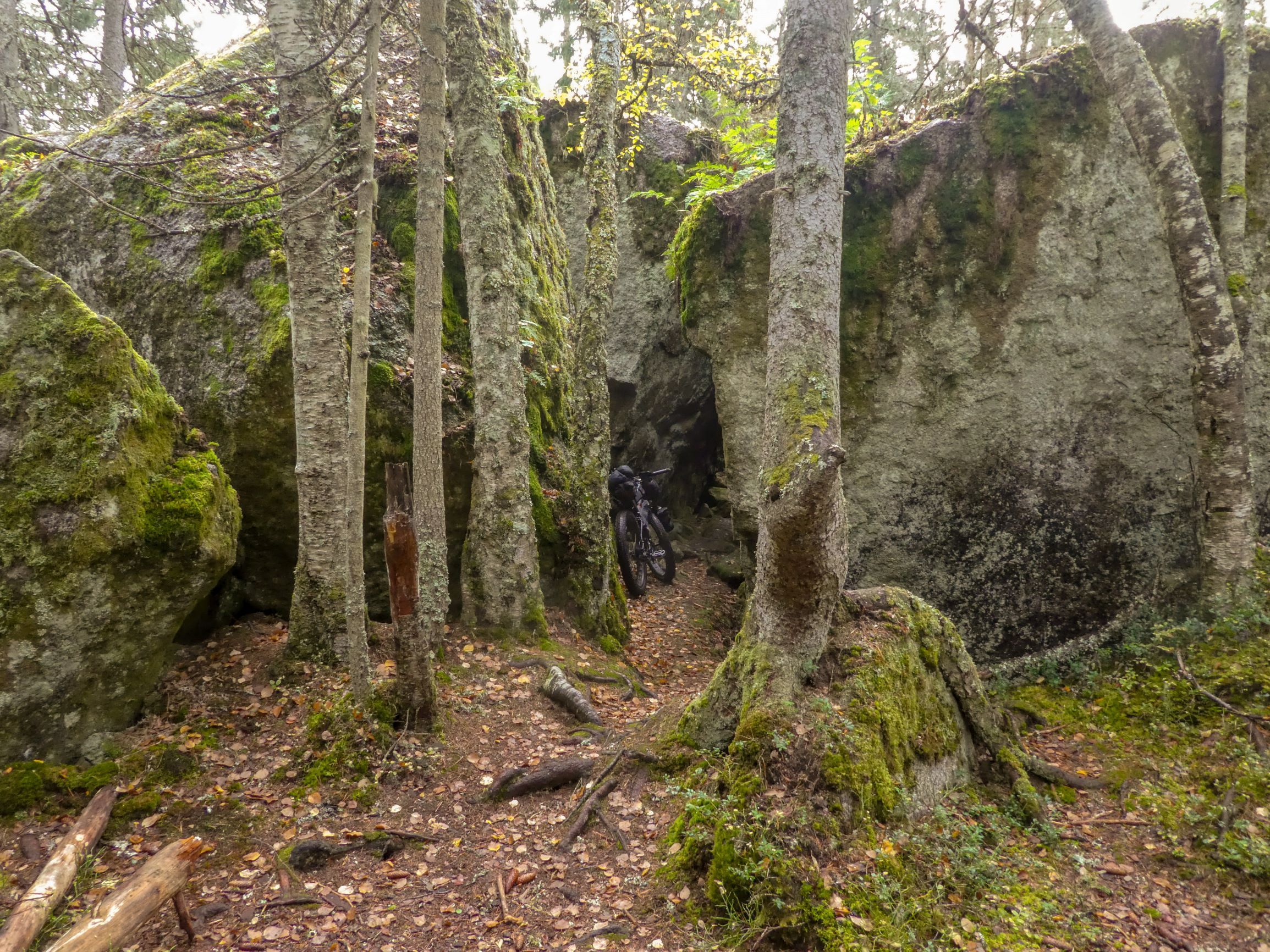 P1170877e.jpg
