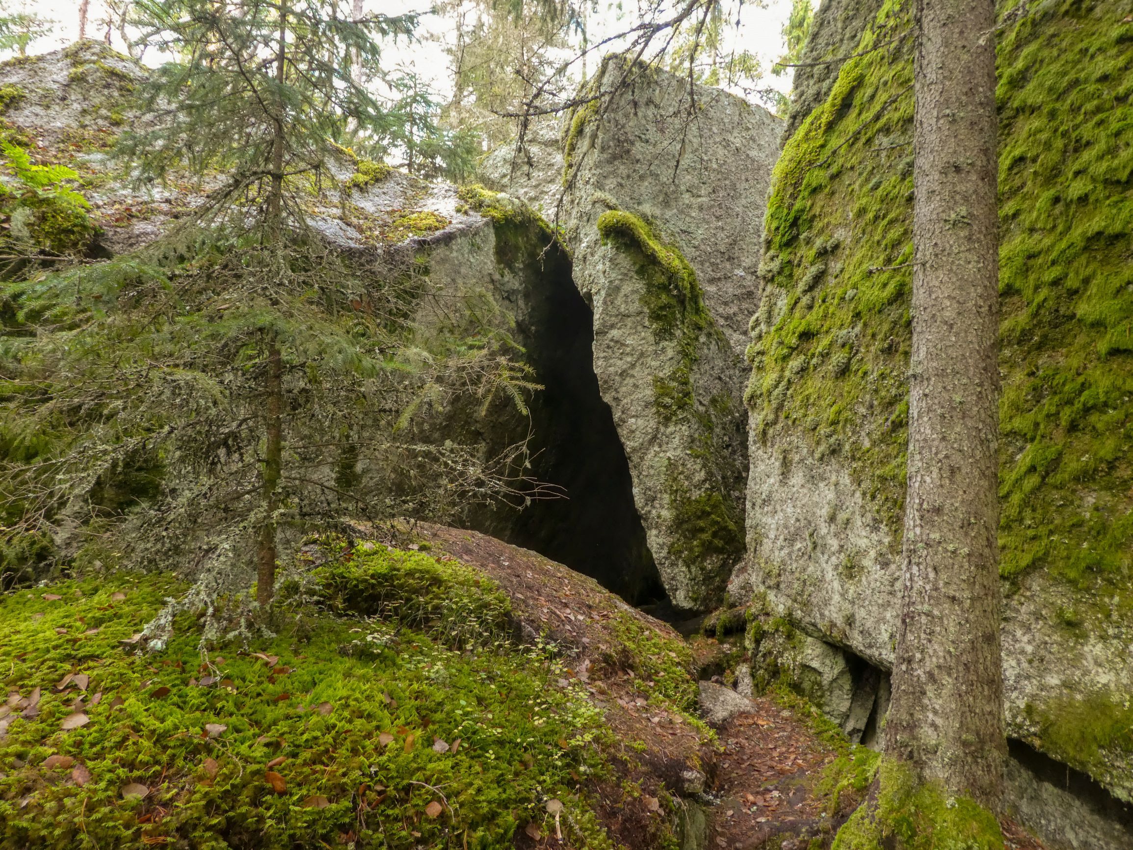 P1170978e.jpg