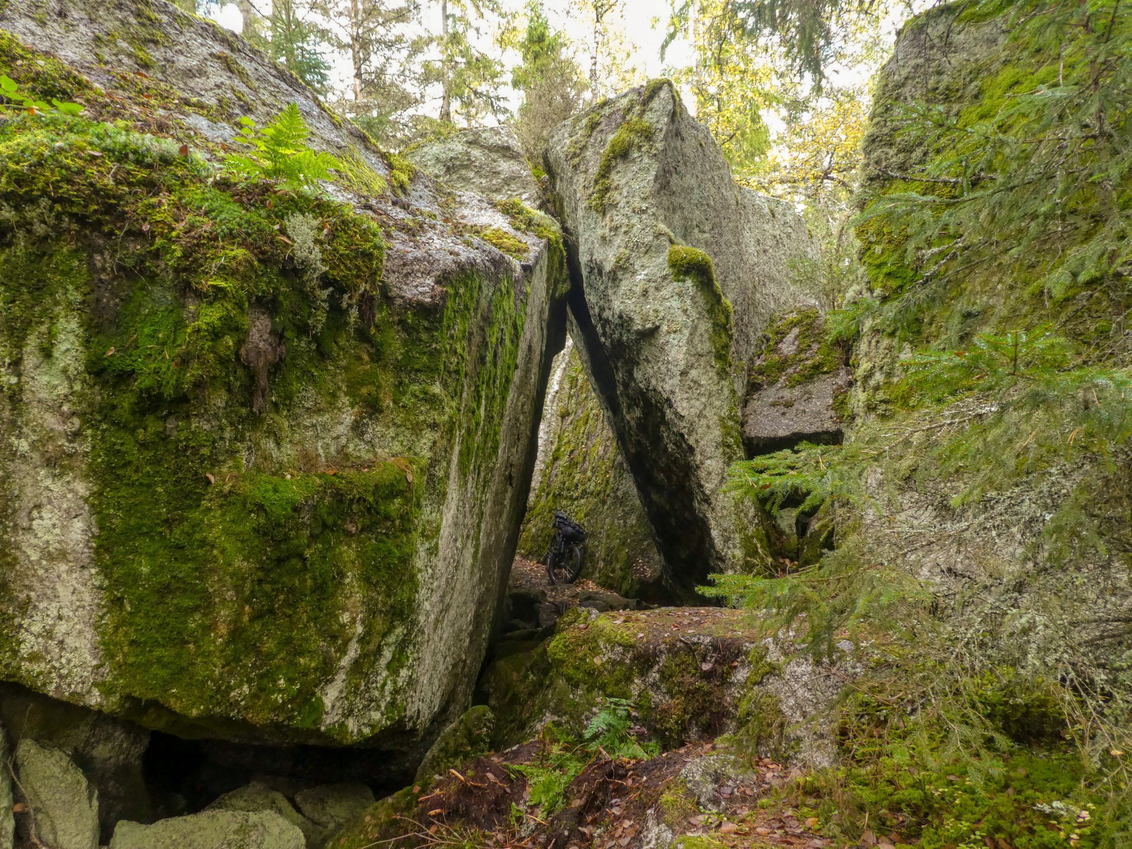 P1170979e.jpg
