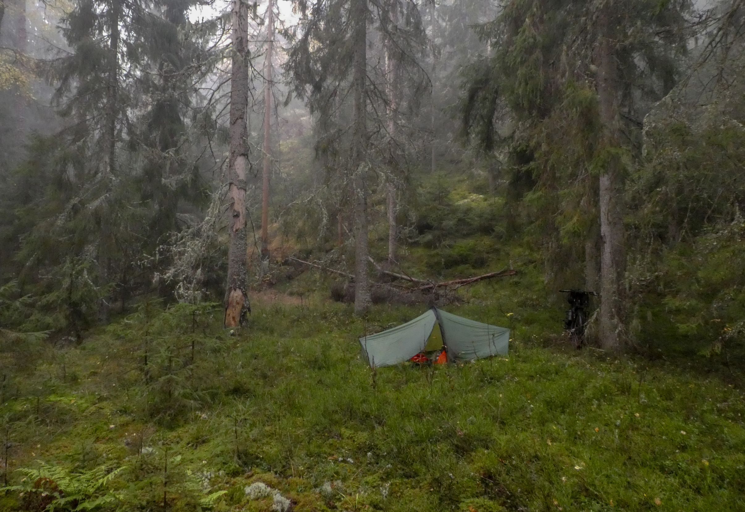 P1180140.jpg
