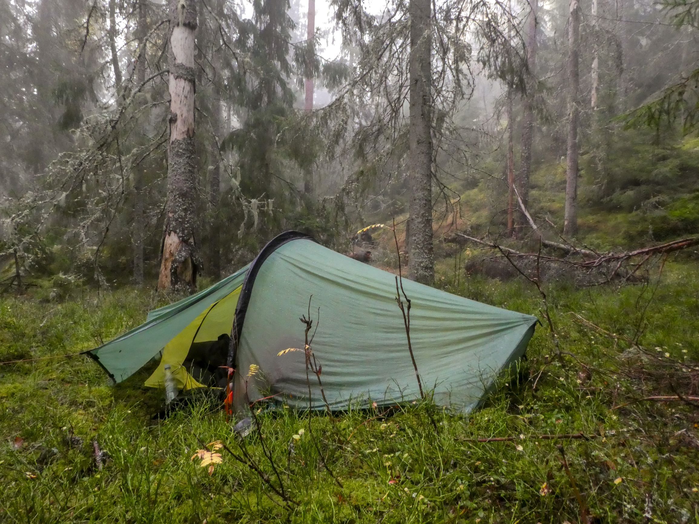 P1180141.jpg