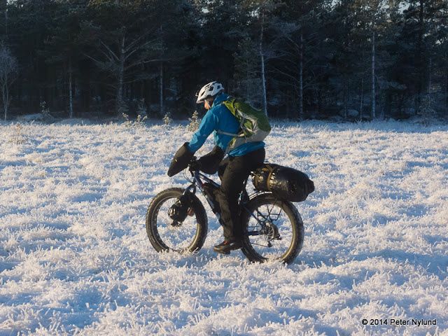 P1180569-XZ1-180114.jpg