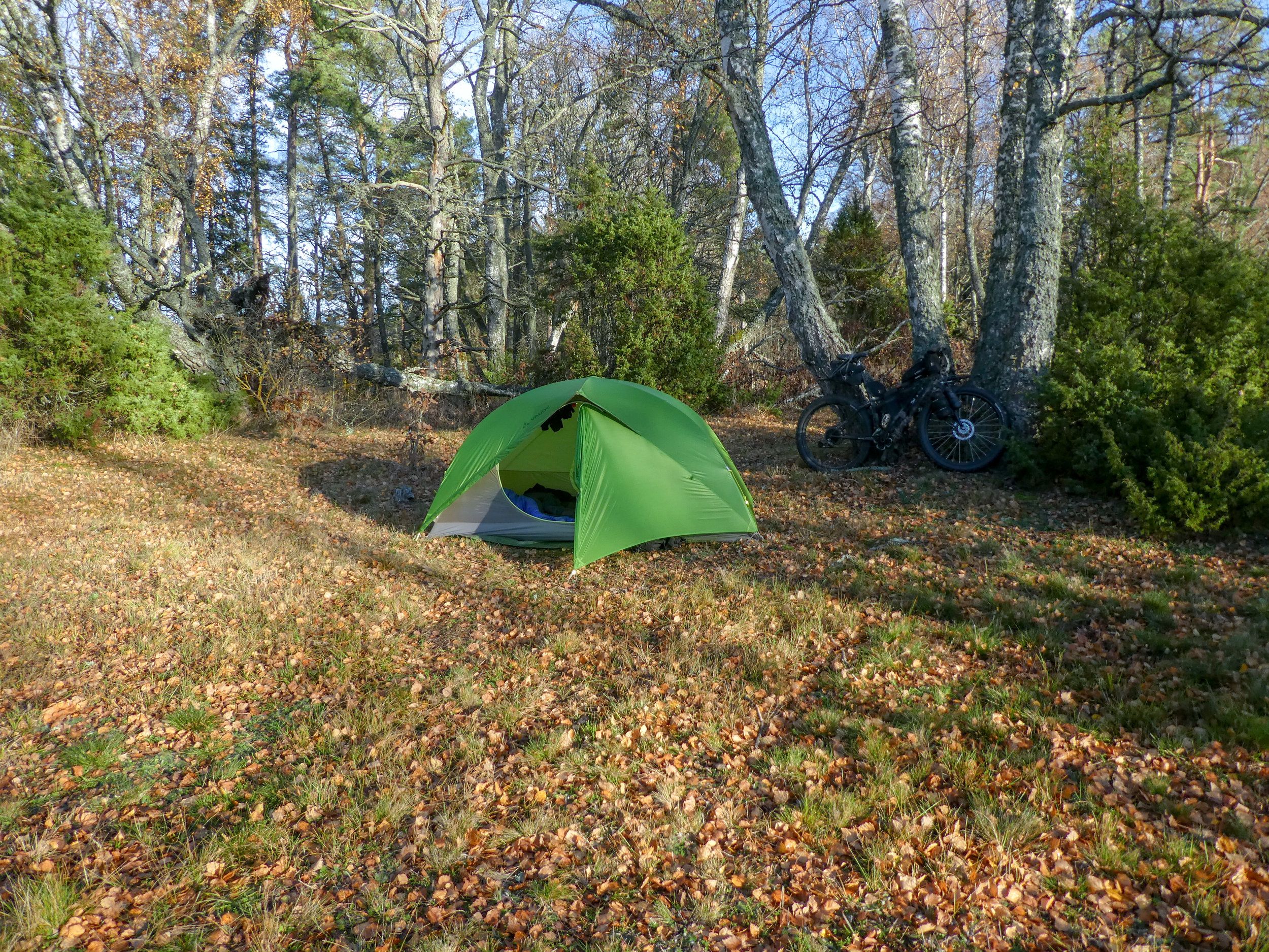 P1180749.jpg