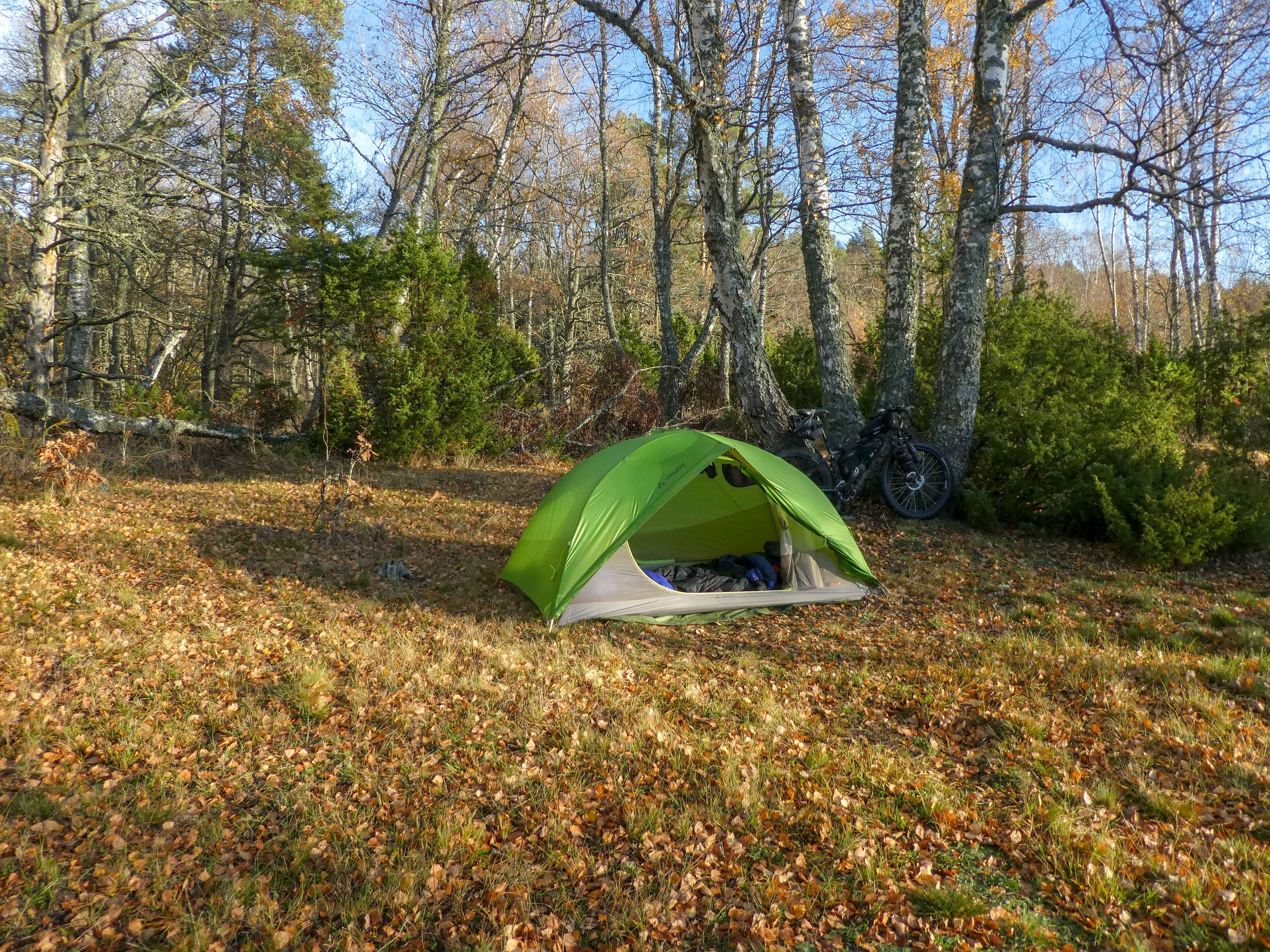 P1180750.jpg