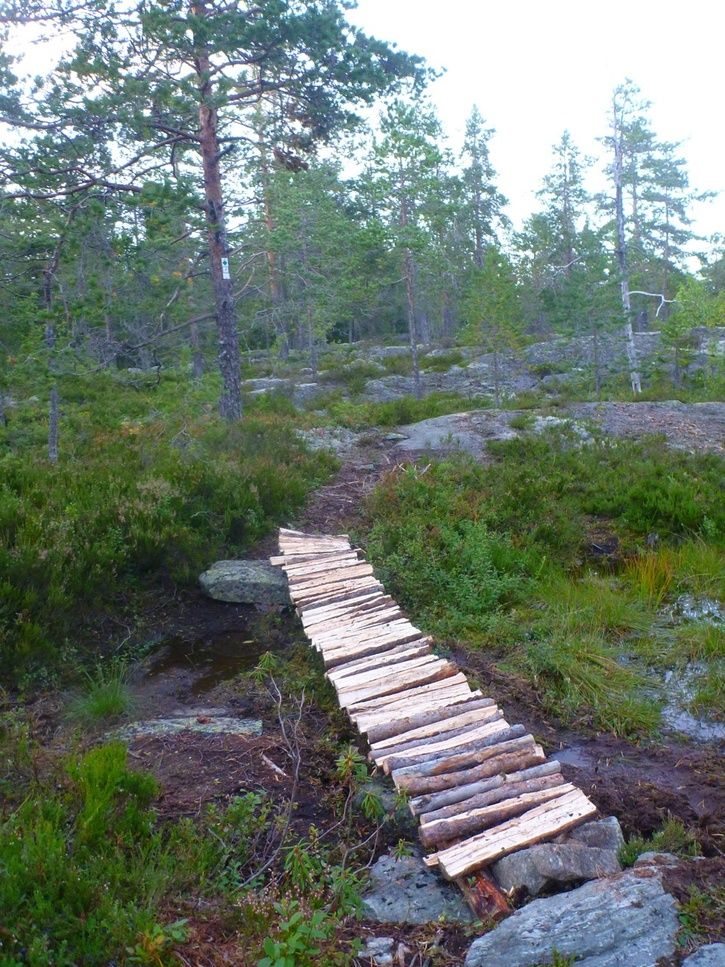 P1190012.jpg