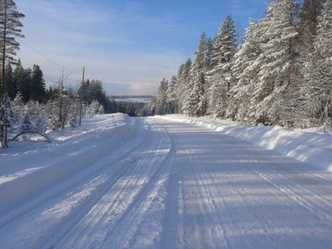 P1190100_1.jpg