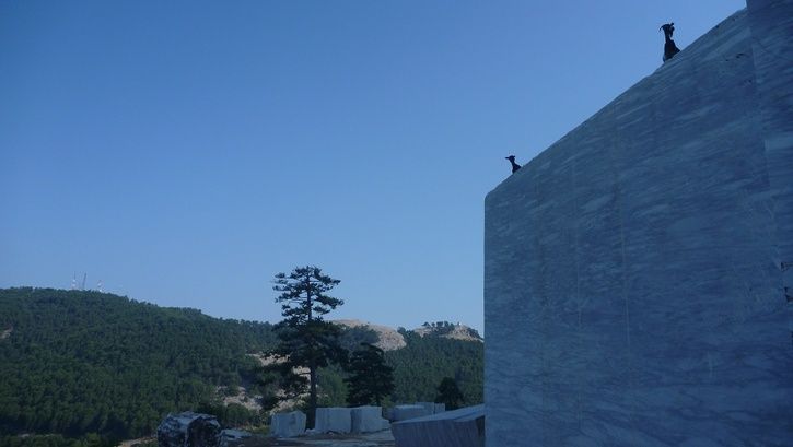 P1190629.jpg