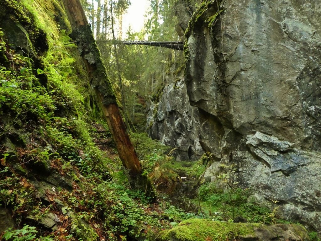 P120.jpg