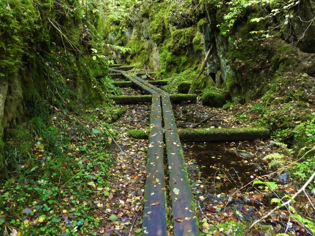 P121.jpg