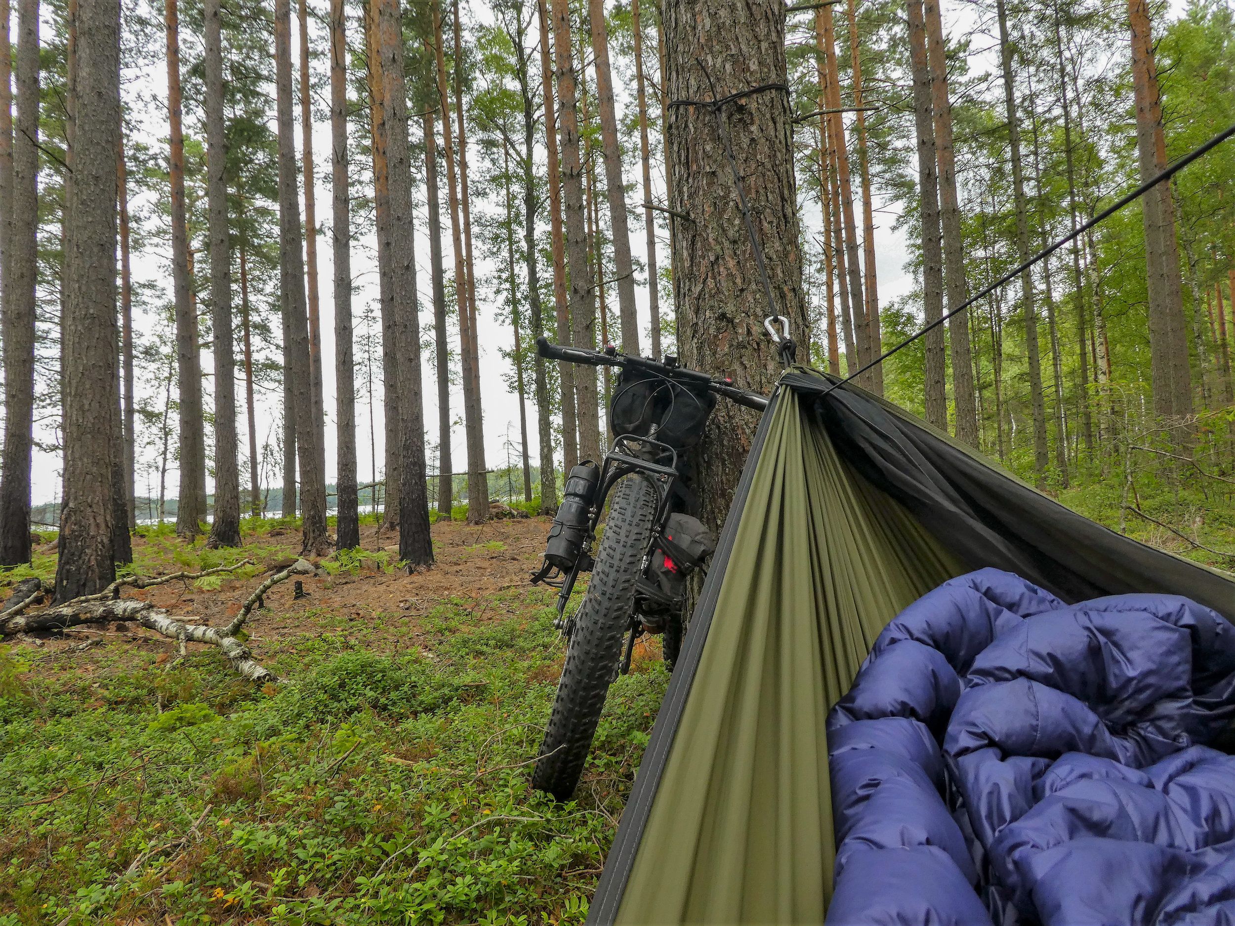 P1210753.jpg