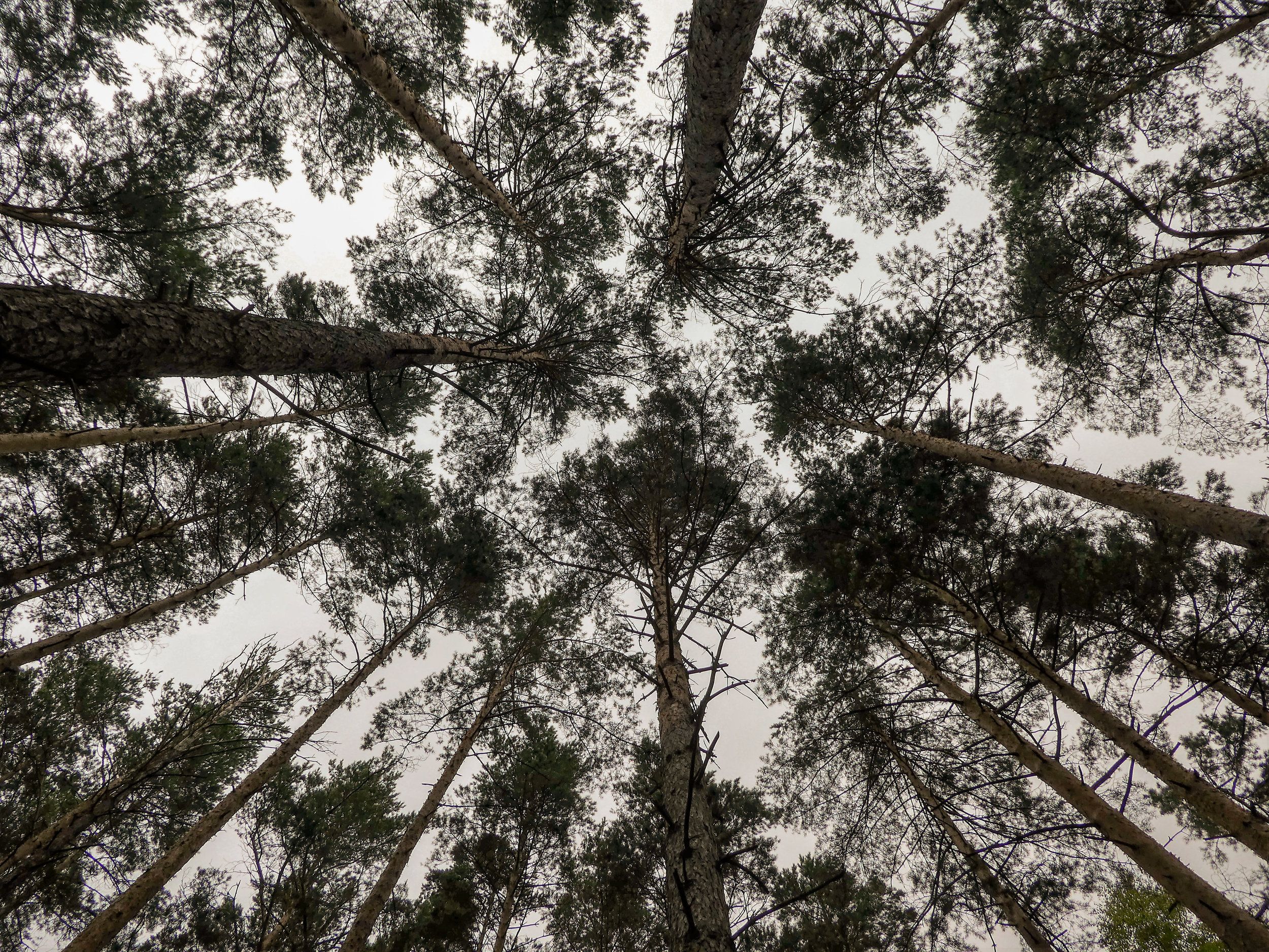 P1210755.jpg