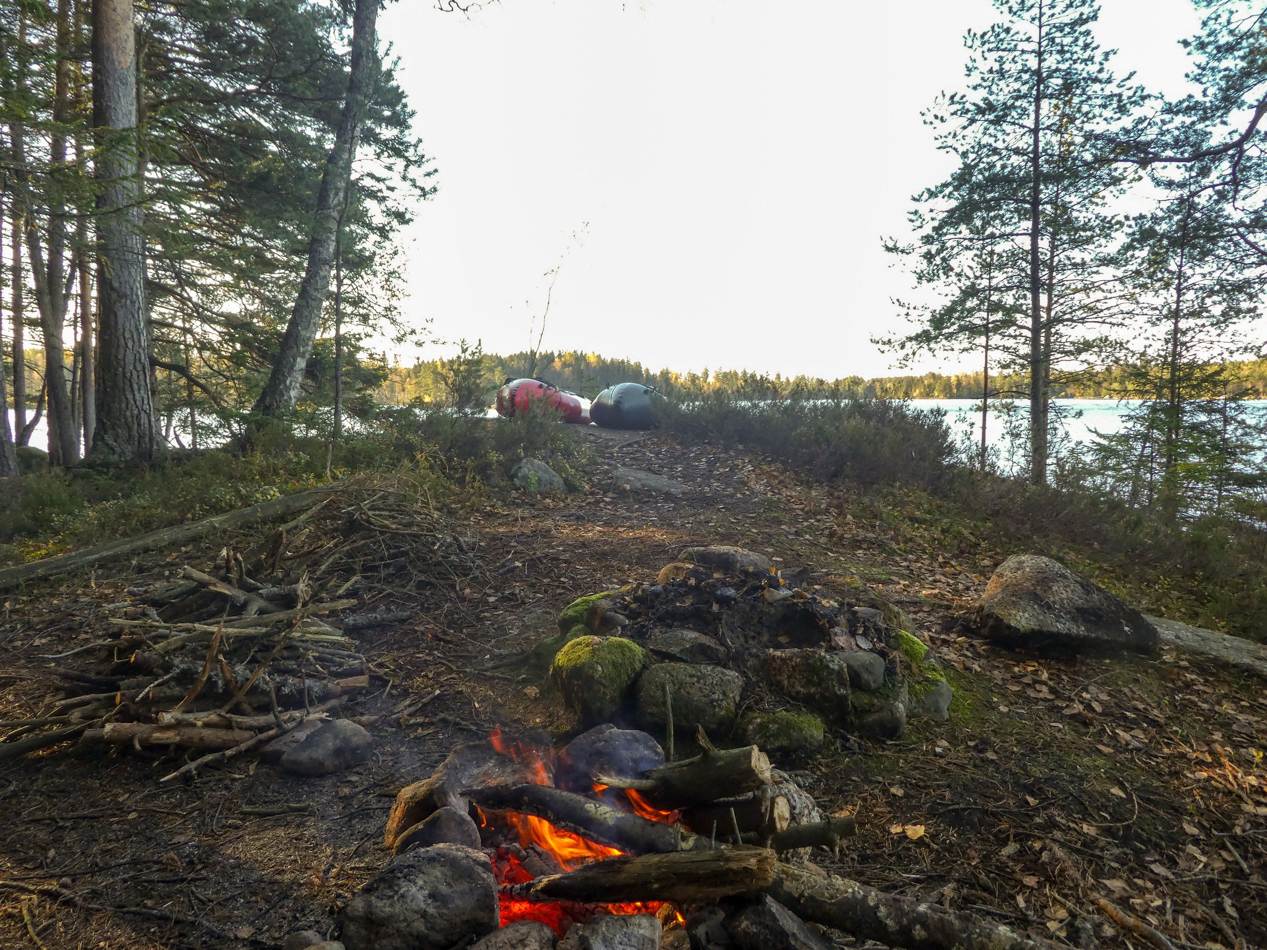 P1220431.jpg