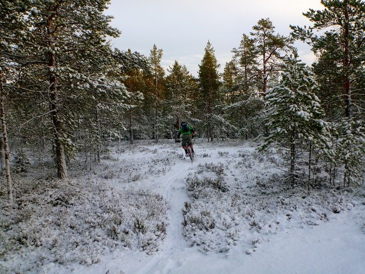 P1220448.jpg