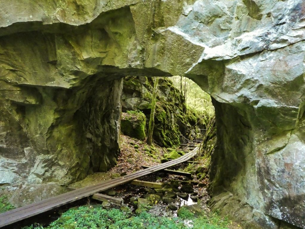 P124.jpg