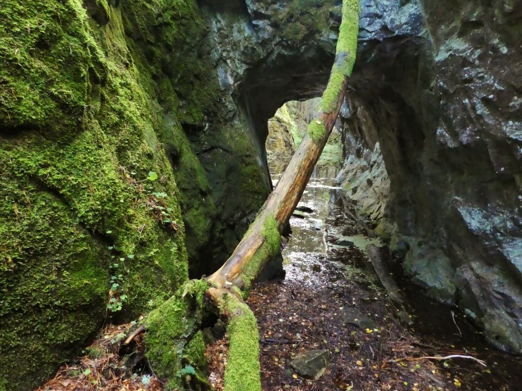 P125.jpg