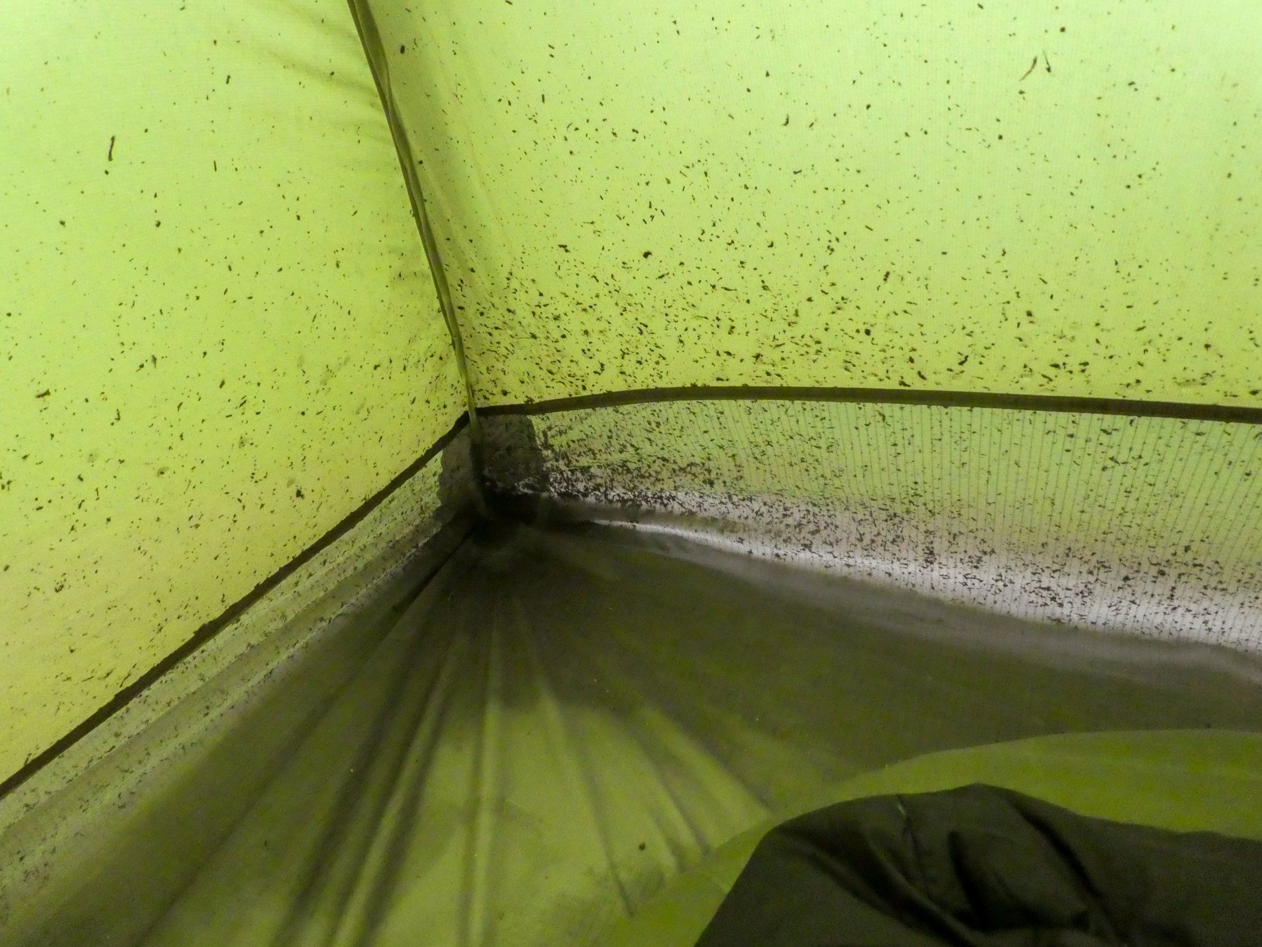 P1250338s.jpg