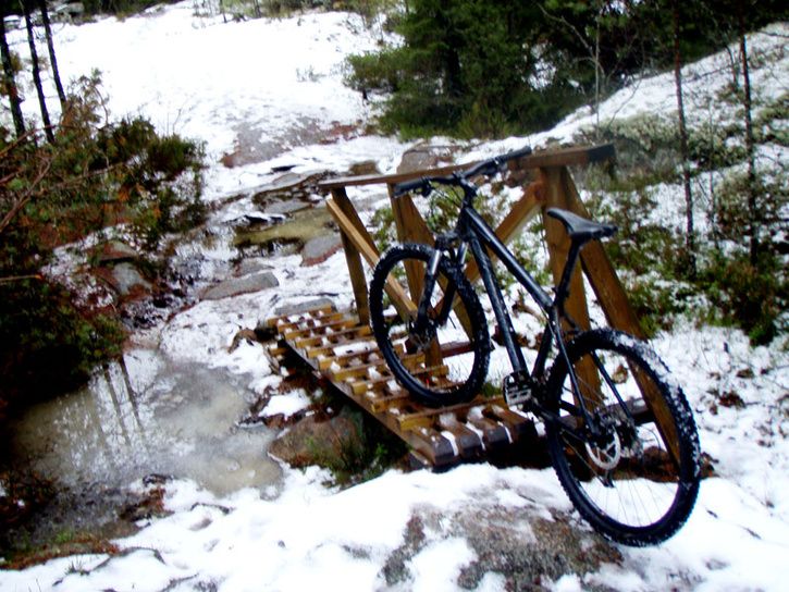 P2020642-Copy.JPG ht=544