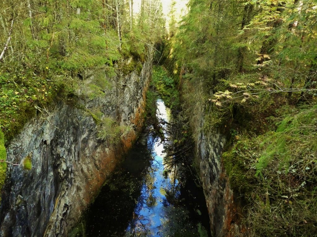 P21100543.jpg