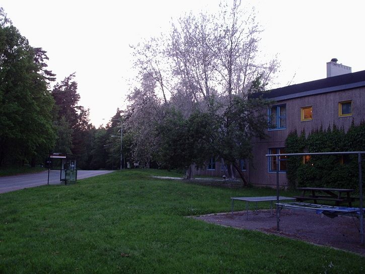 p2130028.jpg