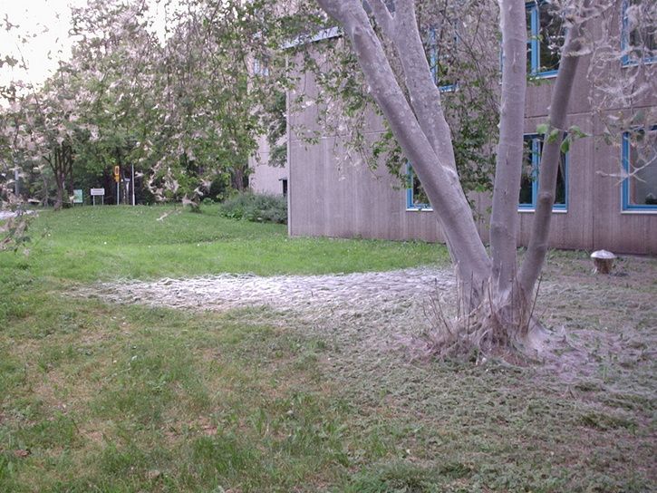 p2130029.jpg