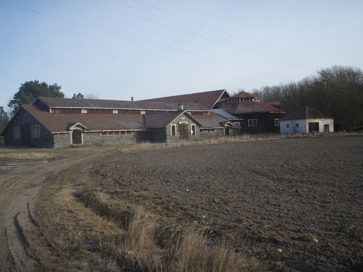 P2160487.JPG ht=544