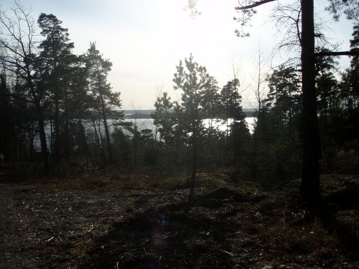 P2160522.JPG ht=544