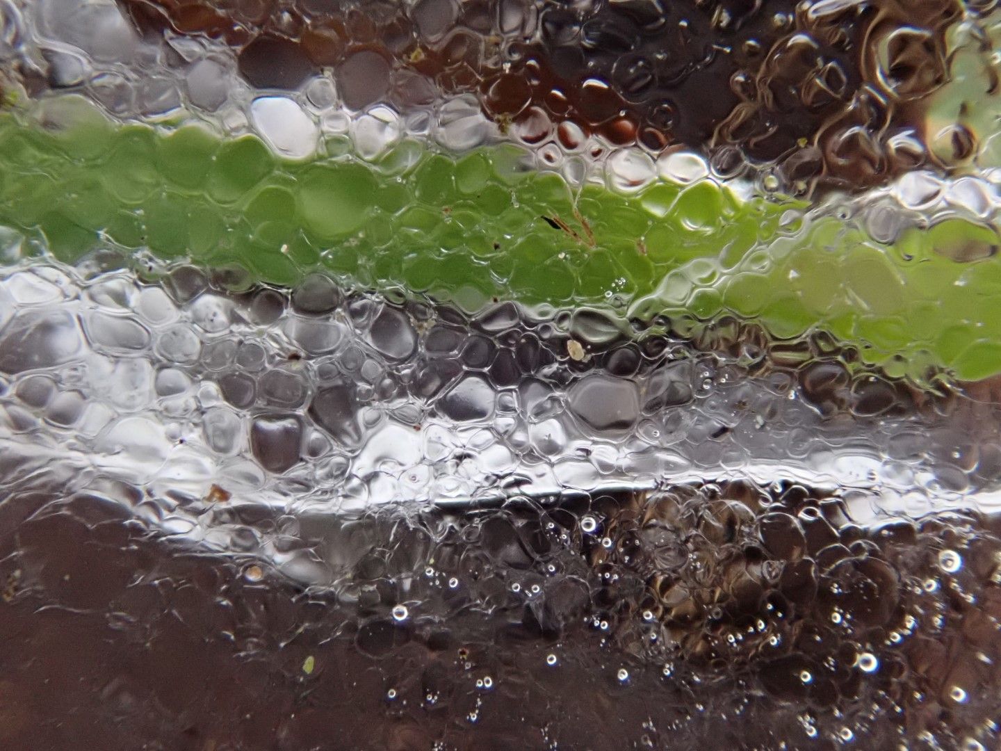P2245454 (Large).jpeg