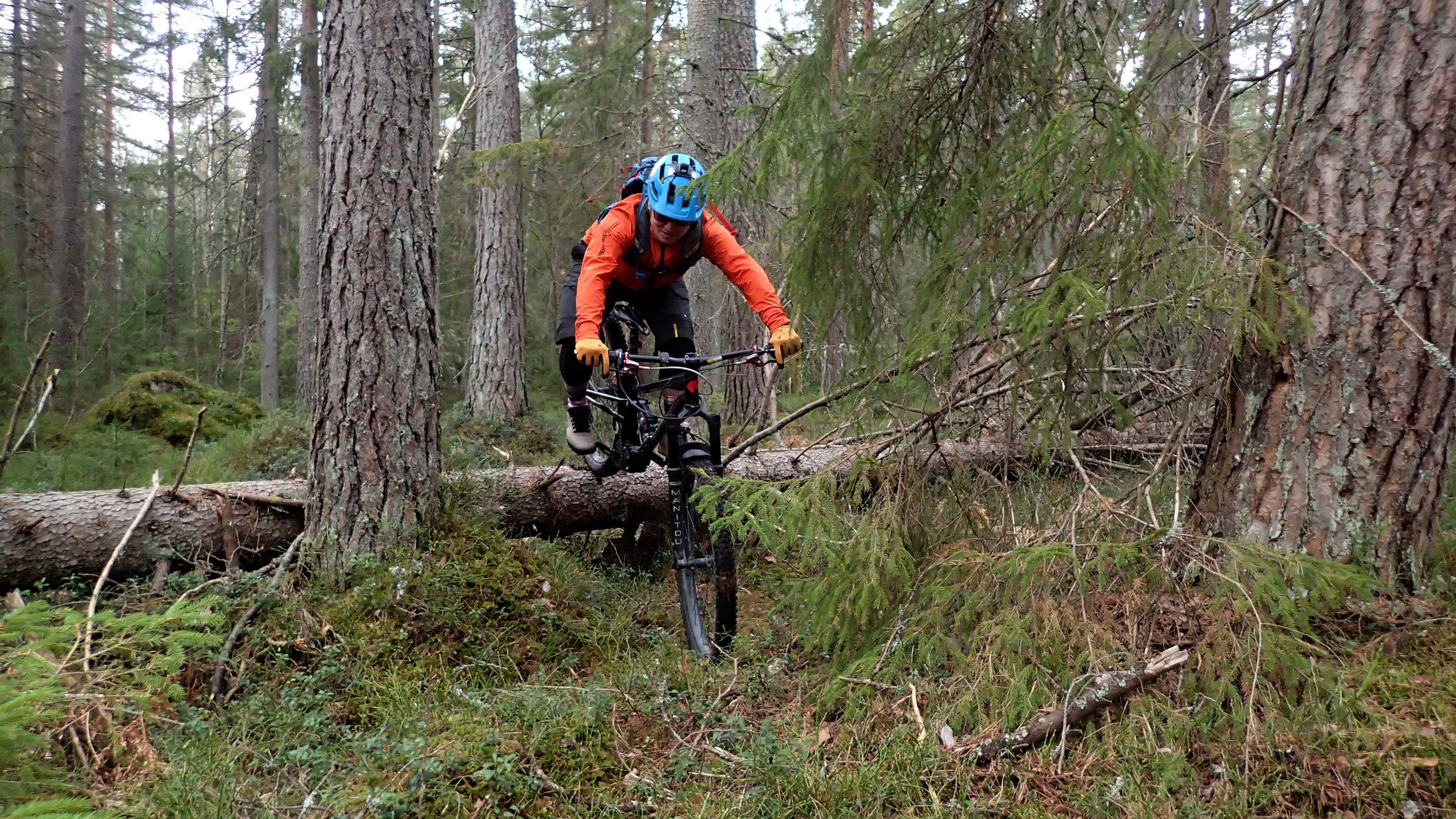 P2270101.JPG