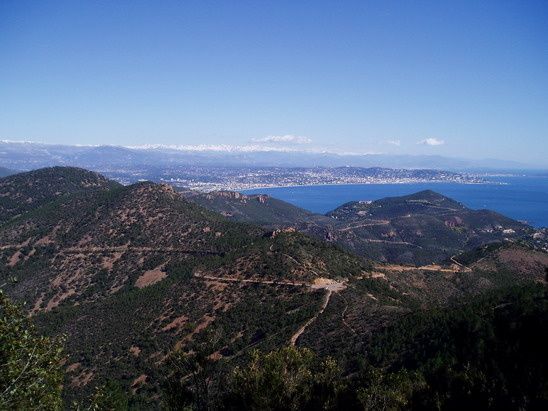 P3120027liten.jpg ht=411