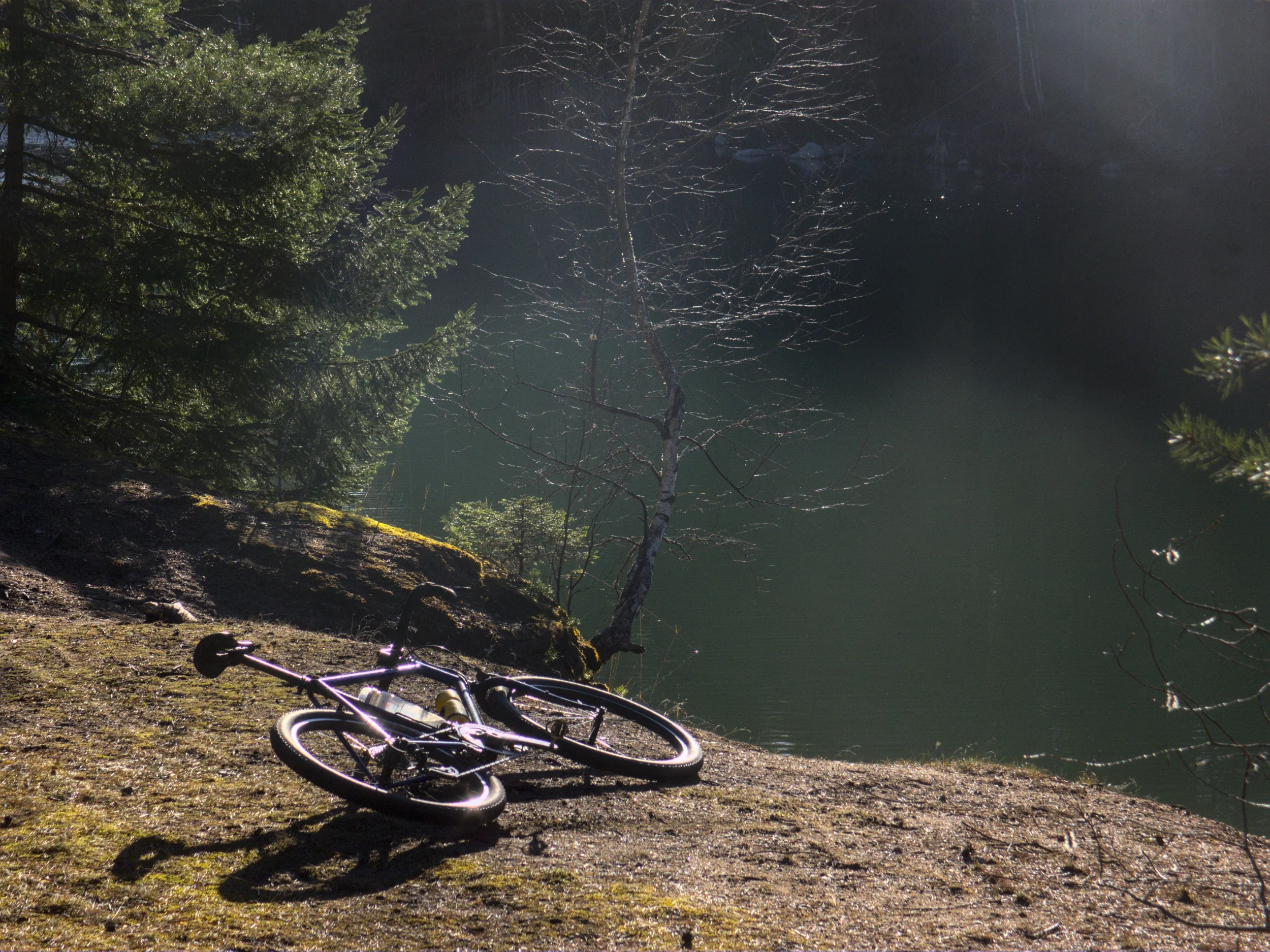 P3308621.webp