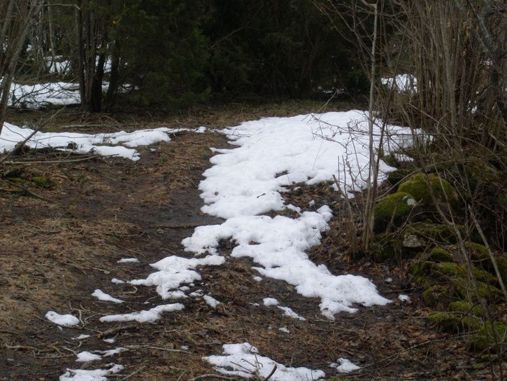 P3310464.JPG ht=544