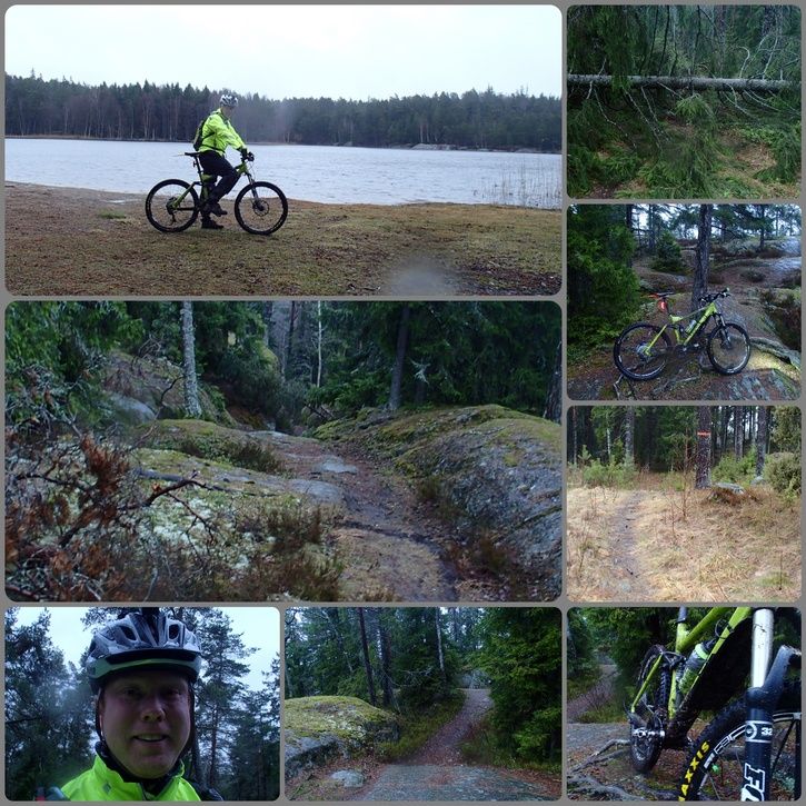 P4080044_Fotor_Collage.jpg