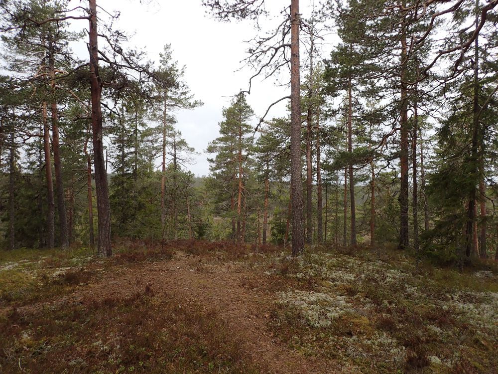 P4230006.jpg