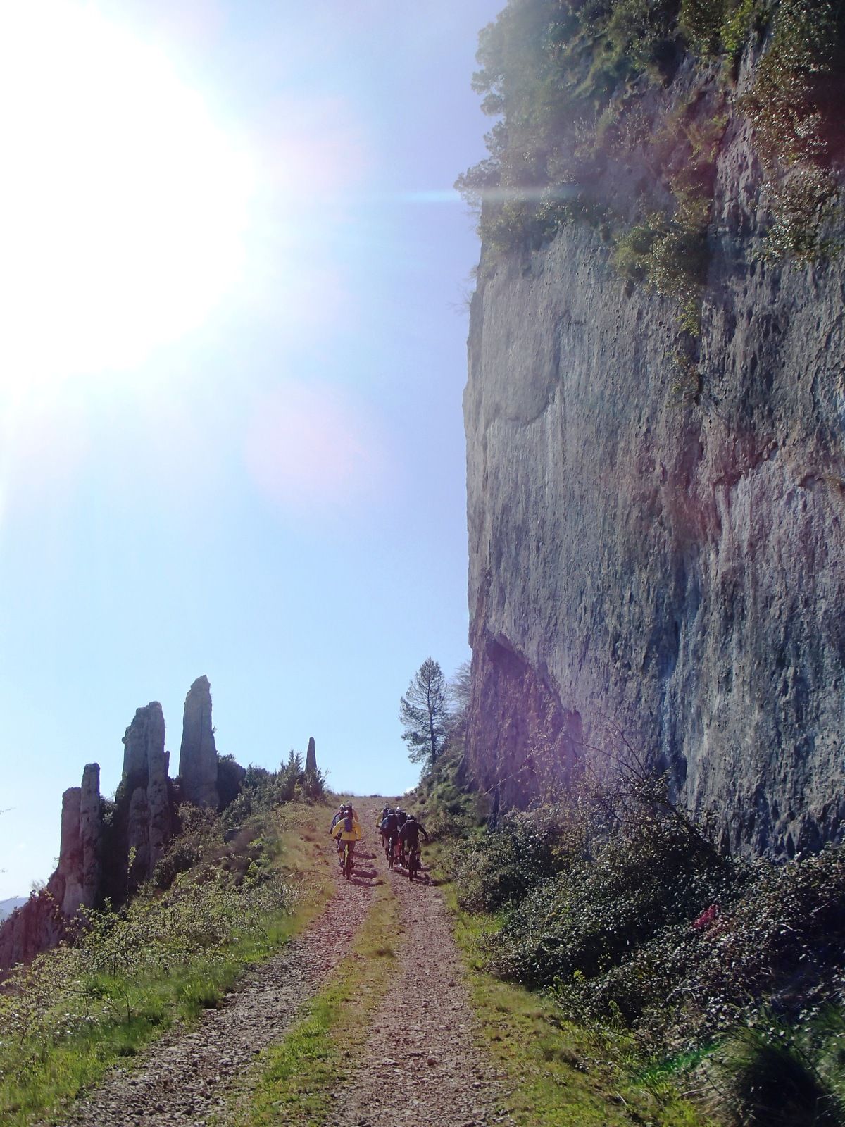 P4244267.JPG