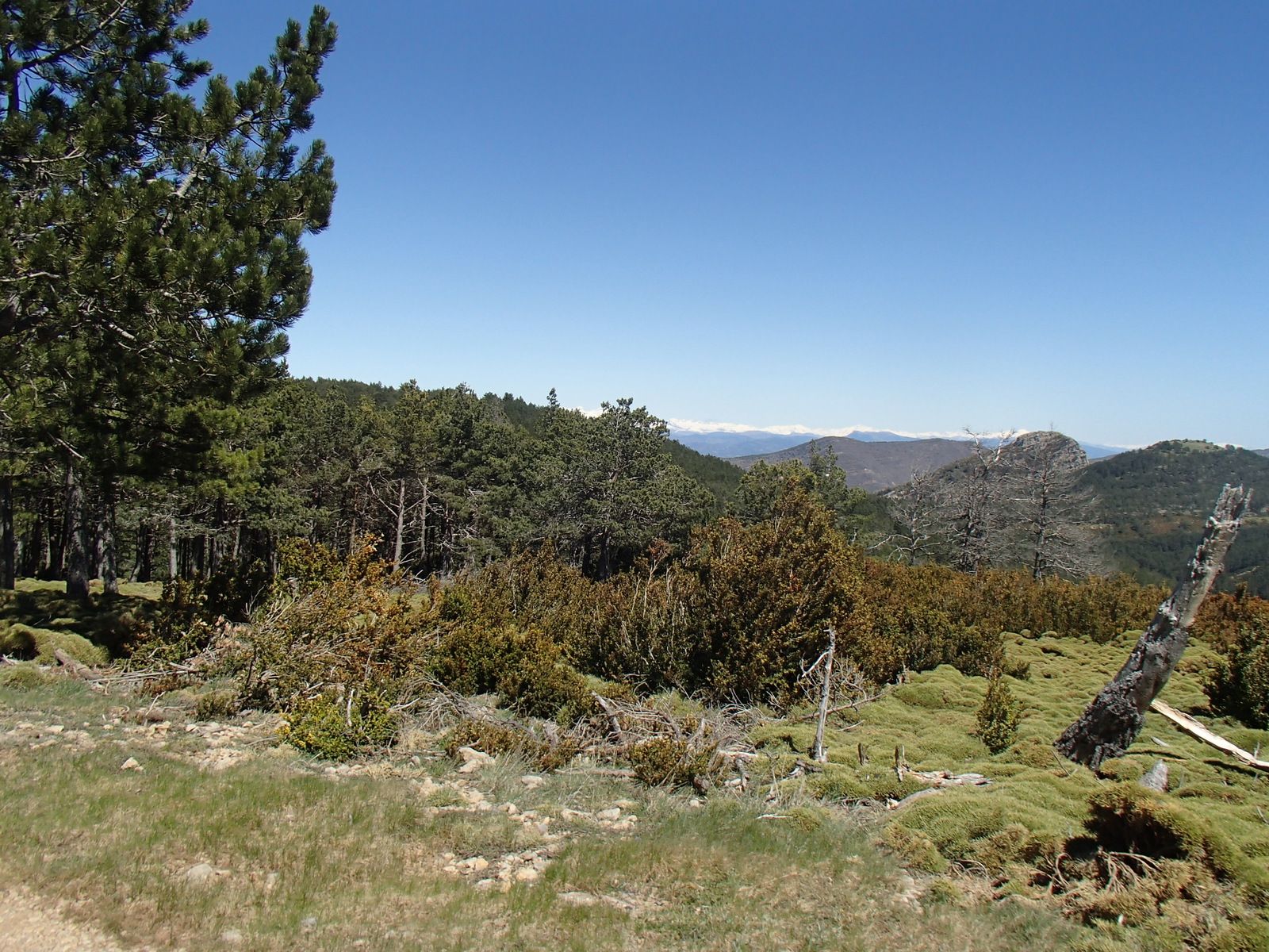 P4244308.JPG