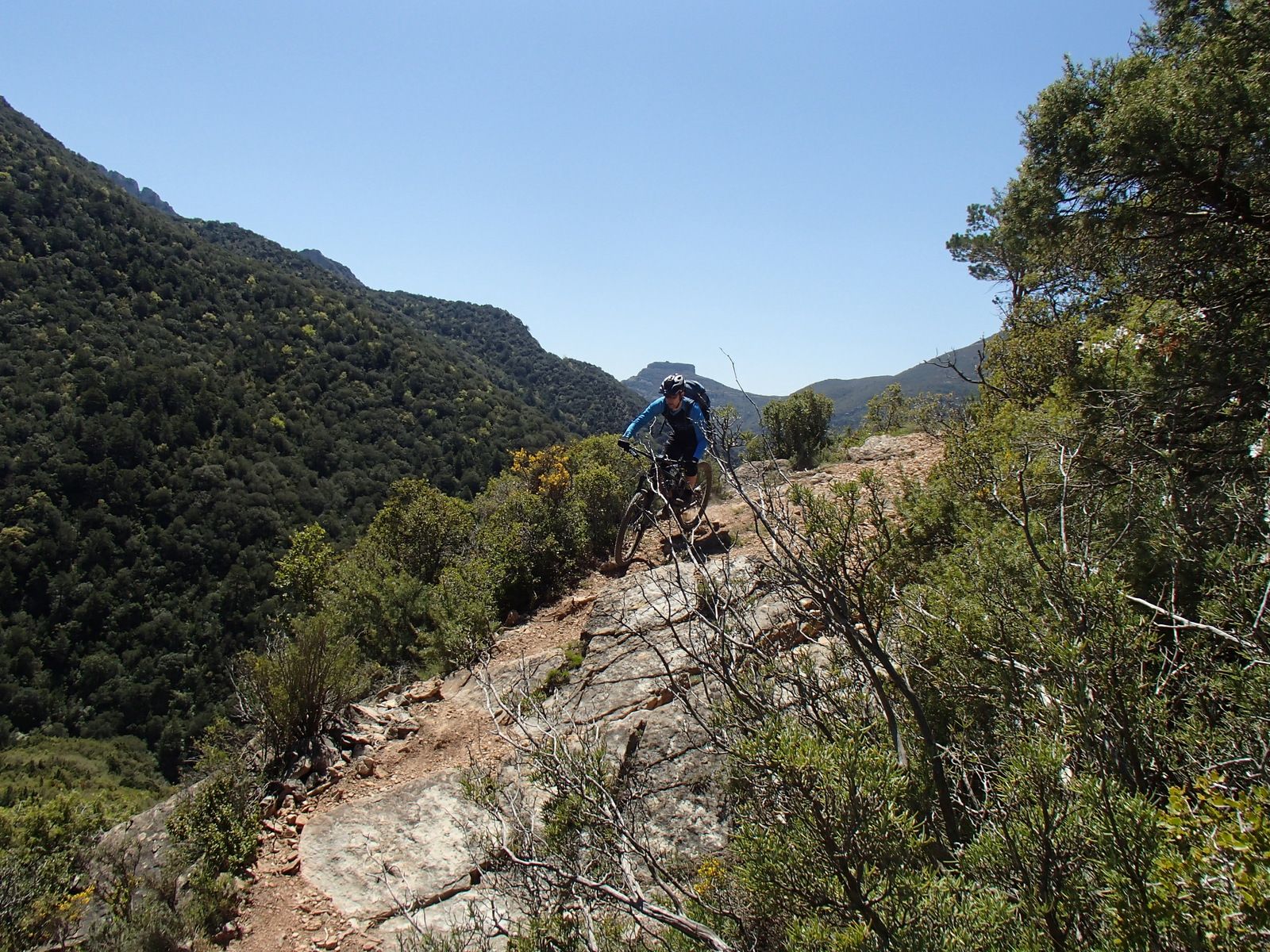 P4254380.JPG