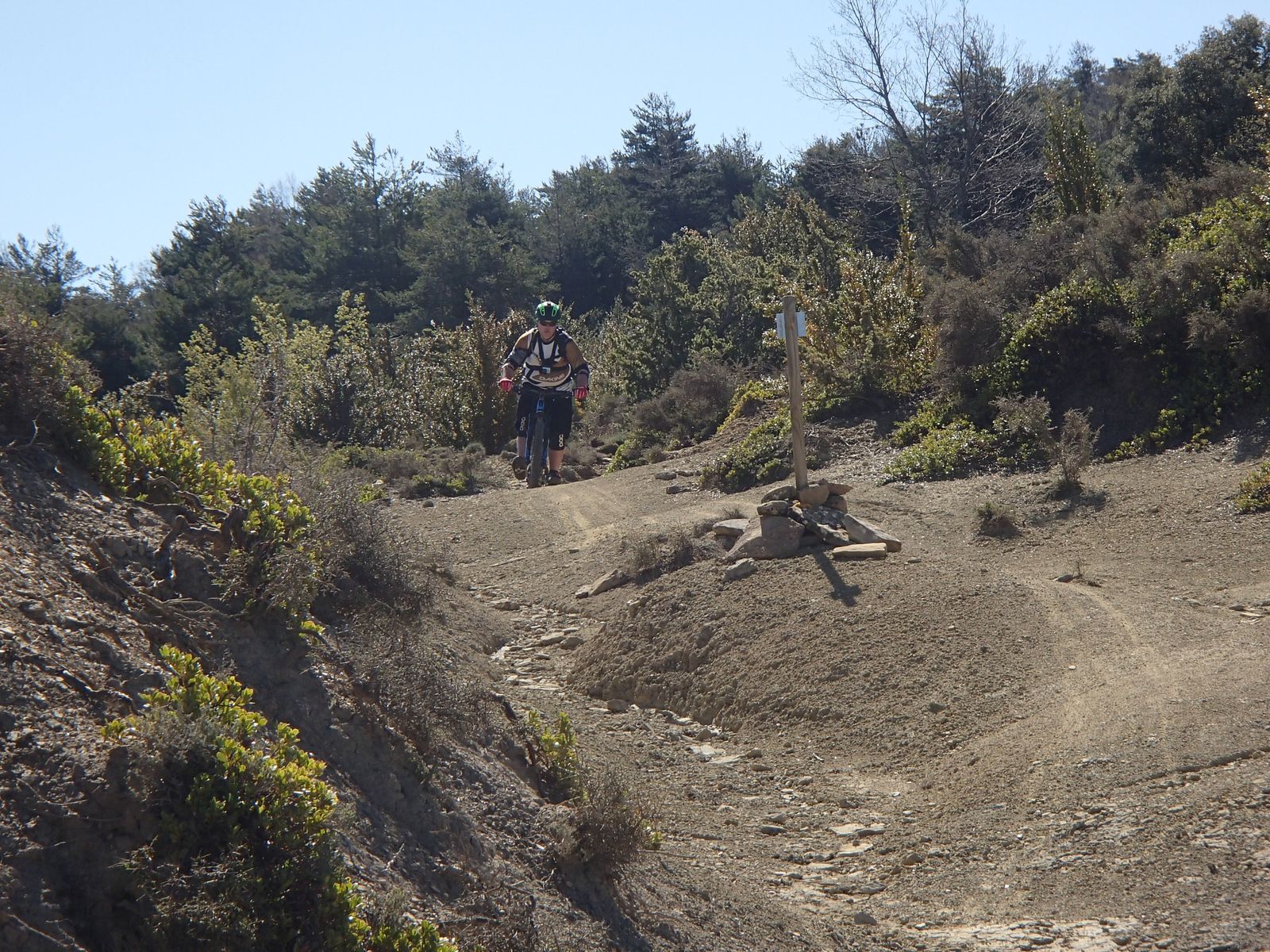 P4264434.JPG