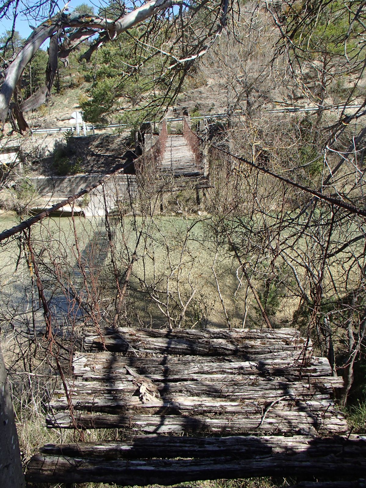 P4264441.JPG