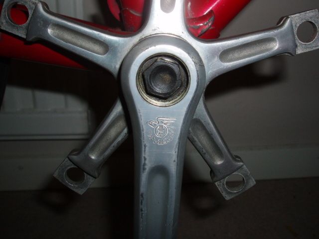 P4270166.JPG ht=480