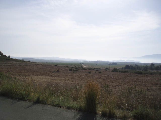 P4280067-1.jpg ht=480